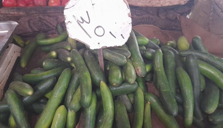 IMG_20250924_112546_237