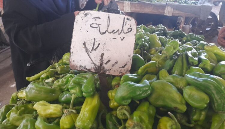 IMG_20250924_112546_652