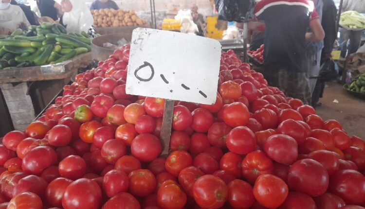 IMG_20250924_112546_766