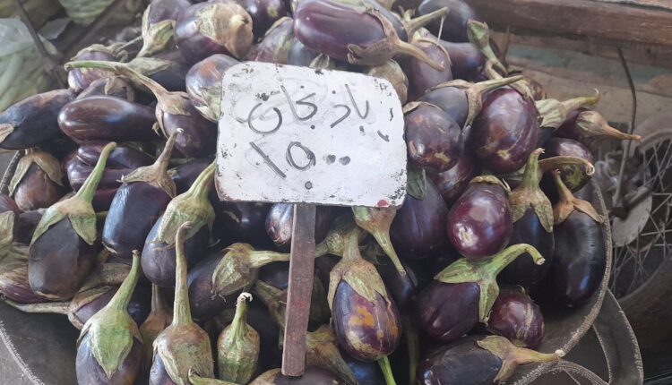 IMG_20250924_112546_843