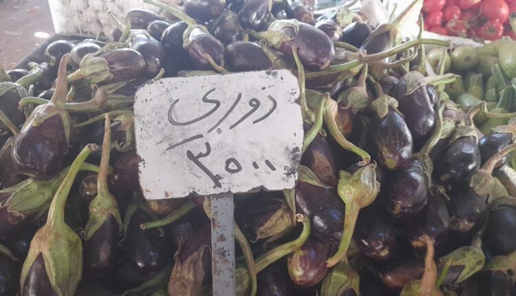 IMG_20251001_120616_786