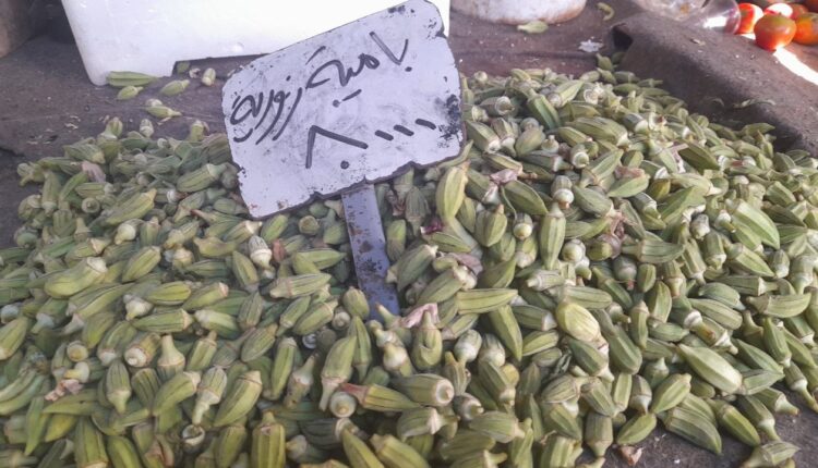 IMG_20251001_120616_873