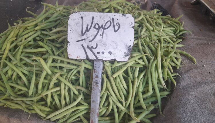 IMG_20251001_120617_123