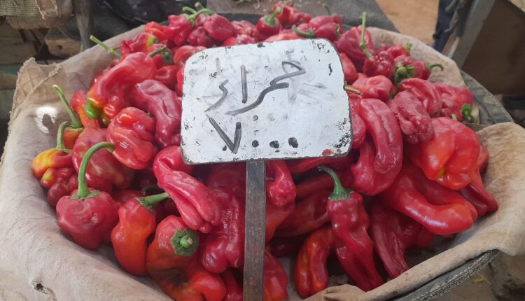 IMG_20251001_120617_189