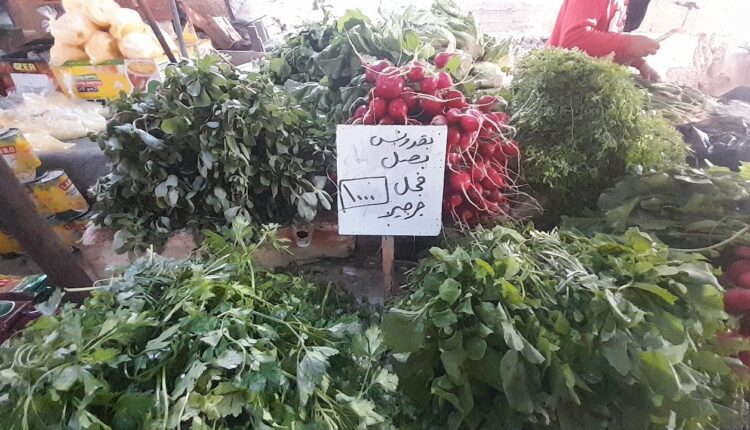 IMG_20251104_135941_494