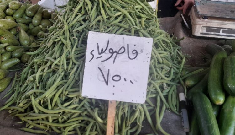 IMG_20251104_135941_647