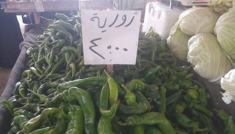 IMG_20251104_135941_925