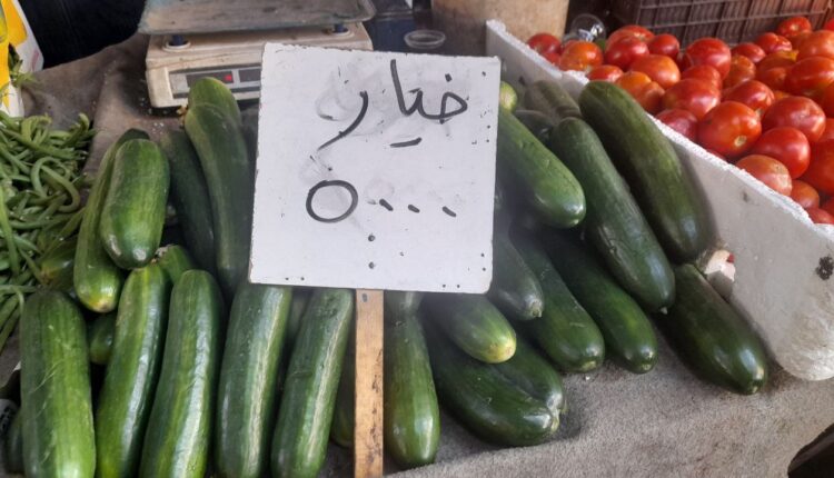 IMG_20251104_135942_015