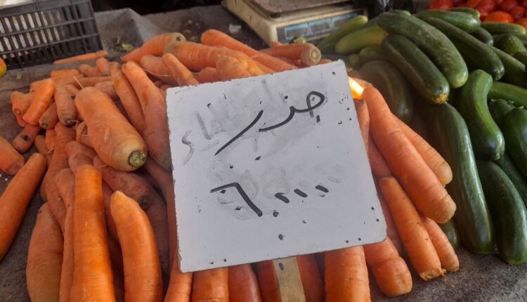 IMG_20251104_135942_056