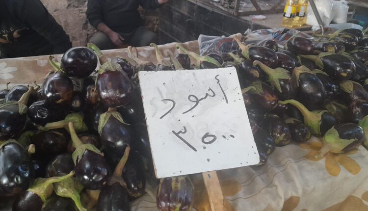 IMG_20251104_135942_209