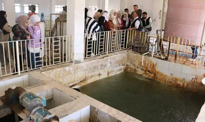 IMG_20251105_131248_166