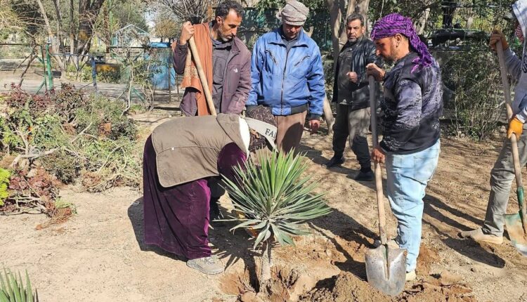 IMG_20260305_133321_859