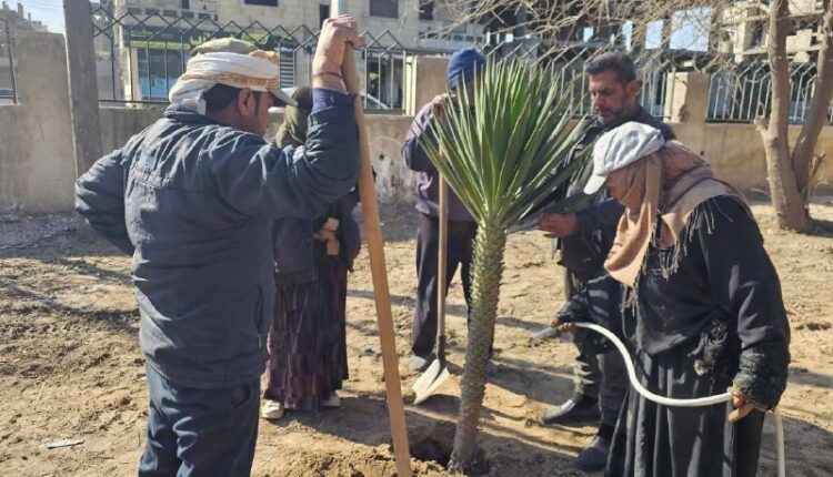 IMG_20260305_133322_199