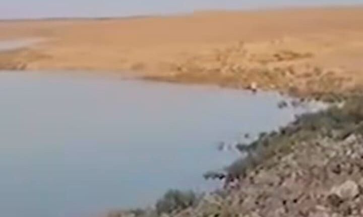 IMG_20261031_102021_189